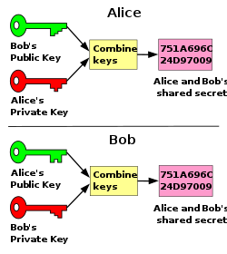 Certificate private vs public key